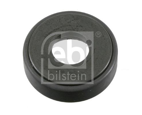 Rolling Bearing, suspension strut support mount